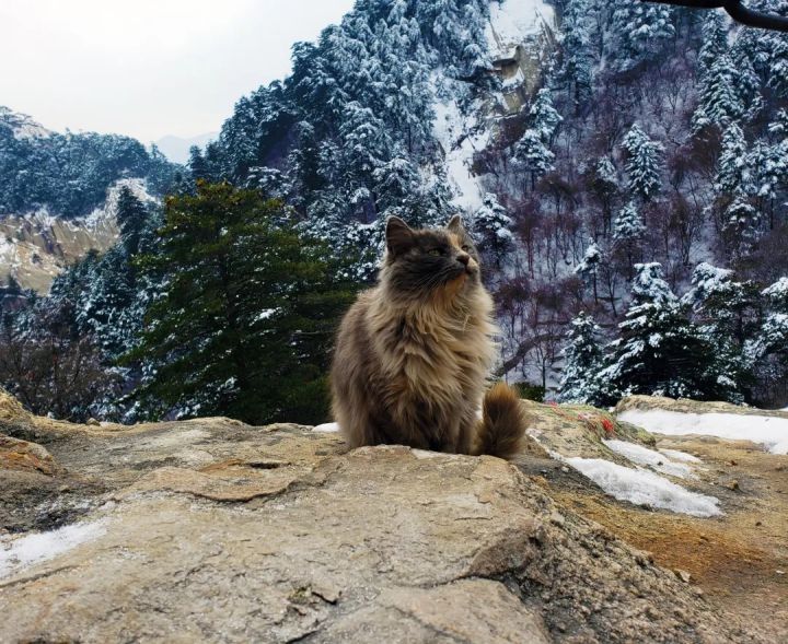 1627459529126117.jpg 640.webp (11).jpg