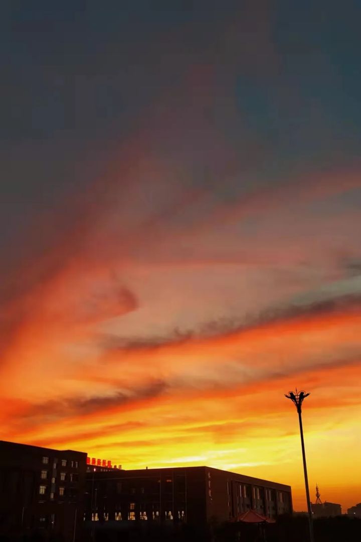 1635212362839980.jpg 640.webp (2).jpg