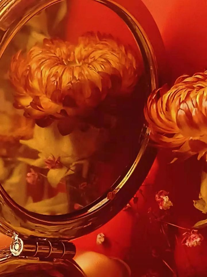 1627459230139345.jpg 640.webp (2).jpg