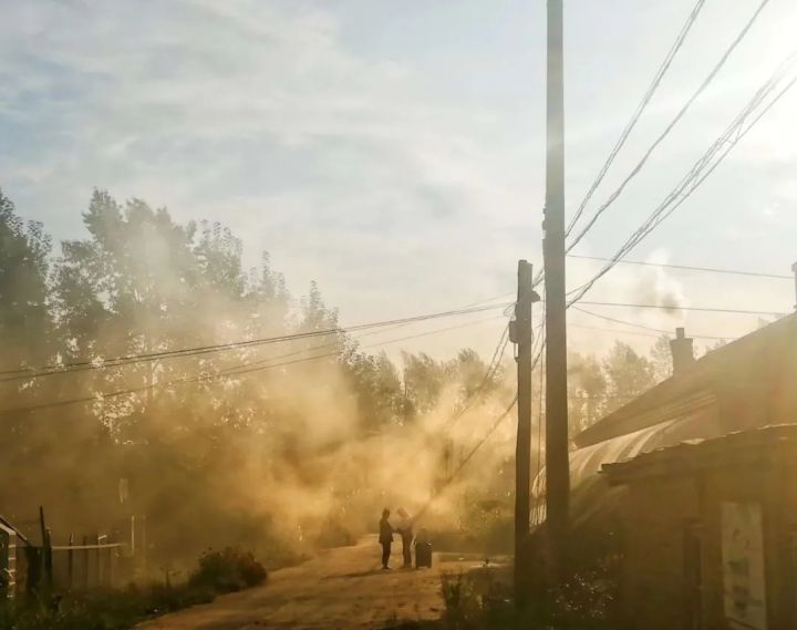 1627459278663679.jpg 640.webp (3).jpg