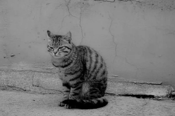 1627459992103943.jpg 640.webp (9).jpg