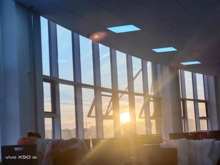 1636074372108138.jpg 640.webp (10).jpg