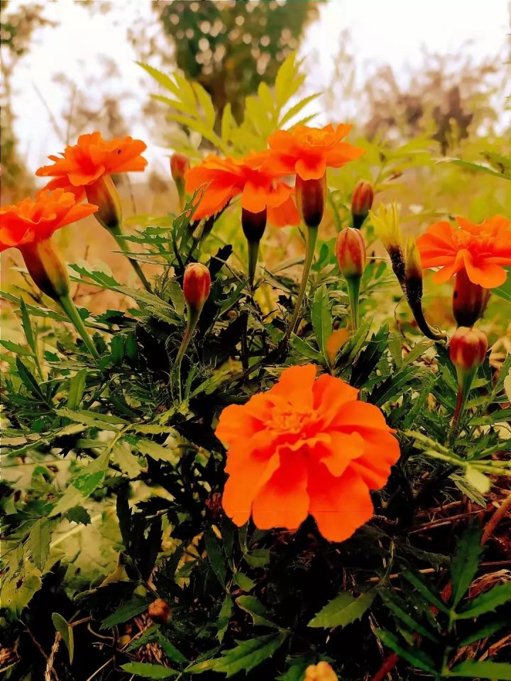 1636074314667508.jpg 640.webp (6).jpg