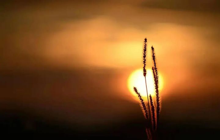 1627459864126380.jpg 640.webp.jpg