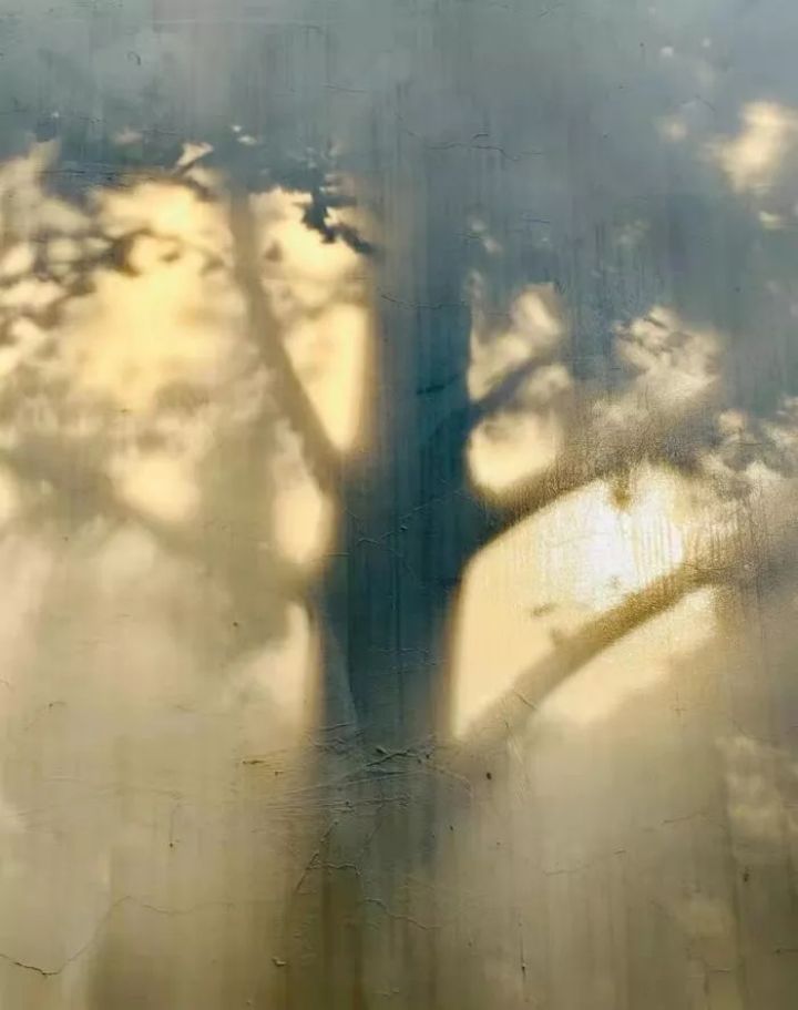 1638953239725214.jpg 640.webp (31).jpg